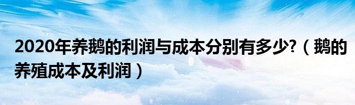 2020年養(yǎng)鵝的利潤(rùn)與成本分別有多少?（鵝的養(yǎng)殖成本及利潤(rùn)）