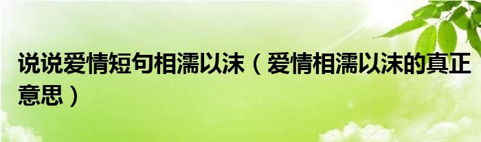 說說愛情短句相濡以沫（愛情相濡以沫的真正意思）