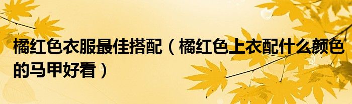 橘紅色衣服最佳搭配（橘紅色上衣配什么顏色的馬甲好看）