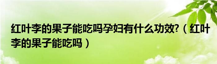 紅葉李的果子能吃嗎孕婦有什么功效?（紅葉李的果子能吃嗎）