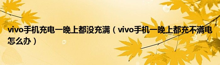 vivo手機充電一晚上都沒充滿（vivo手機一晚上都充不滿電怎么辦）