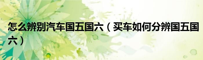 怎么辨別汽車國五國六（買車如何分辨國五國六）
