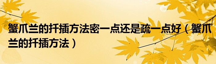 蟹爪蘭的扦插方法密一點還是疏一點好（蟹爪蘭的扦插方法）
