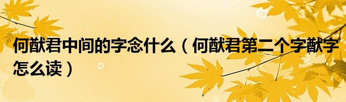 何猷君中間的字念什么（何猷君第二個字猷字怎么讀）