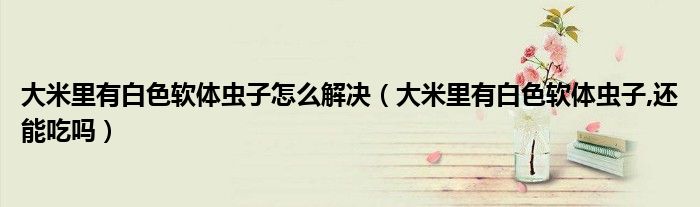大米里有白色軟體蟲子怎么解決（大米里有白色軟體蟲子,還能吃嗎）