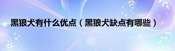 黑狼犬有什么優(yōu)點(diǎn)（黑狼犬缺點(diǎn)有哪些）