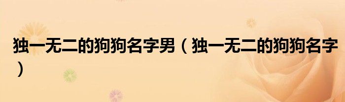 獨一無二的狗狗名字男（獨一無二的狗狗名字）