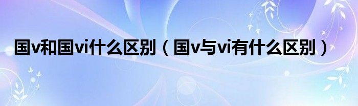 國v和國vi什么區(qū)別（國v與vi有什么區(qū)別）