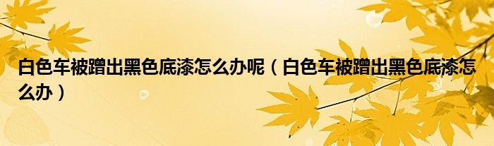 白色車被蹭出黑色底漆怎么辦呢（白色車被蹭出黑色底漆怎么辦）