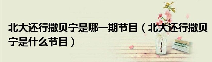 北大還行撒貝寧是哪一期節(jié)目（北大還行撒貝寧是什么節(jié)目）