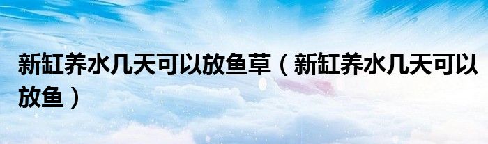 新缸養(yǎng)水幾天可以放魚草（新缸養(yǎng)水幾天可以放魚）