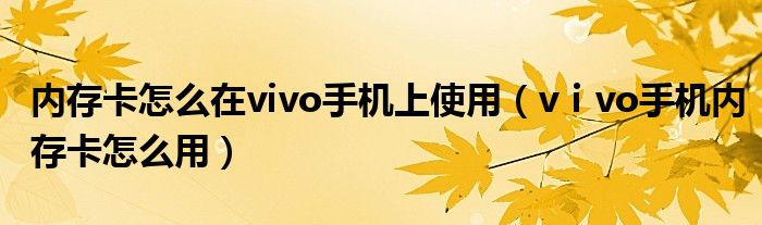 內(nèi)存卡怎么在vivo手機(jī)上使用（vⅰvo手機(jī)內(nèi)存卡怎么用）