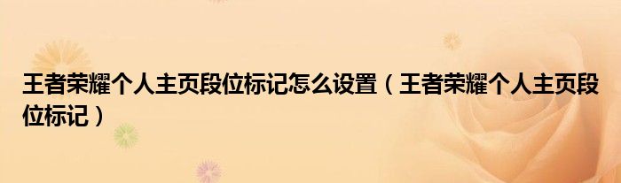 王者榮耀個(gè)人主頁(yè)段位標(biāo)記怎么設(shè)置（王者榮耀個(gè)人主頁(yè)段位標(biāo)記）