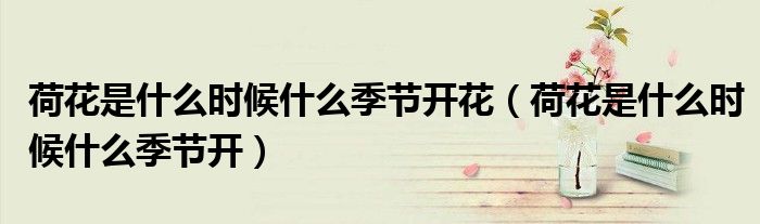 荷花是什么時候什么季節(jié)開花（荷花是什么時候什么季節(jié)開）
