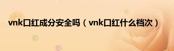 vnk口紅成分安全嗎（vnk口紅什么檔次）