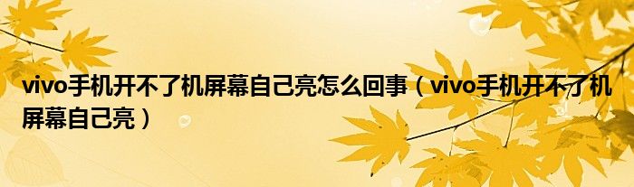 vivo手機(jī)開(kāi)不了機(jī)屏幕自己亮怎么回事（vivo手機(jī)開(kāi)不了機(jī)屏幕自己亮）