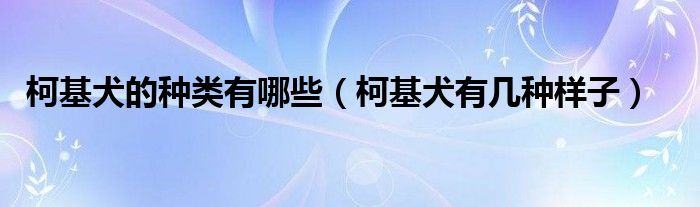 柯基犬的種類有哪些（柯基犬有幾種樣子）