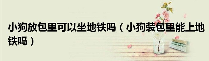 小狗放包里可以坐地鐵嗎（小狗裝包里能上地鐵嗎）
