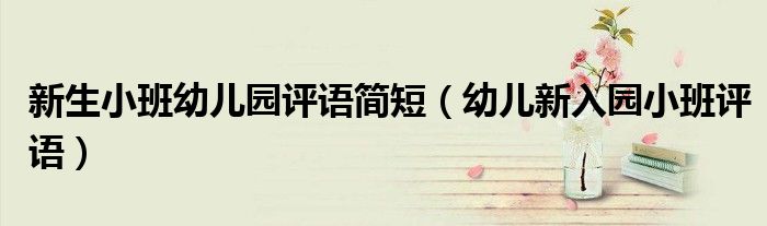 新生小班幼兒園評(píng)語(yǔ)簡(jiǎn)短（幼兒新入園小班評(píng)語(yǔ)）