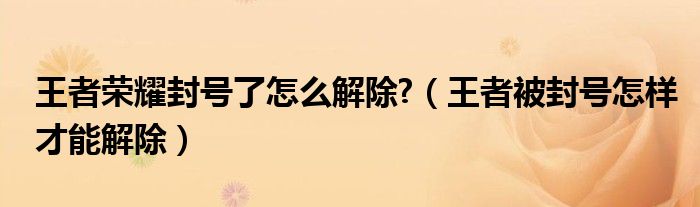 王者榮耀封號了怎么解除?（王者被封號怎樣才能解除）