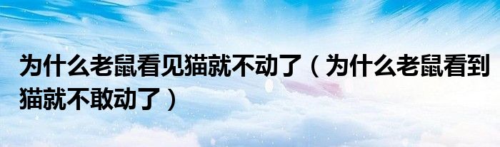 為什么老鼠看見(jiàn)貓就不動(dòng)了（為什么老鼠看到貓就不敢動(dòng)了）