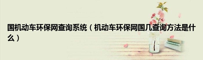 國(guó)機(jī)動(dòng)車(chē)環(huán)保網(wǎng)查詢系統(tǒng)（機(jī)動(dòng)車(chē)環(huán)保網(wǎng)國(guó)幾查詢方法是什么）