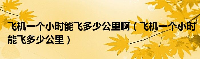 飛機(jī)一個(gè)小時(shí)能飛多少公里啊（飛機(jī)一個(gè)小時(shí)能飛多少公里）
