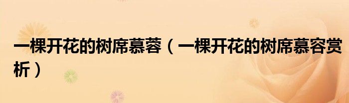 一棵開(kāi)花的樹(shù)席慕蓉（一棵開(kāi)花的樹(shù)席慕容賞析）