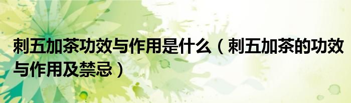刺五加茶功效與作用是什么（刺五加茶的功效與作用及禁忌）
