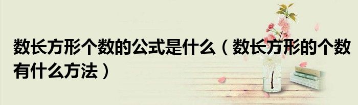 數(shù)長方形個數(shù)的公式是什么（數(shù)長方形的個數(shù)有什么方法）