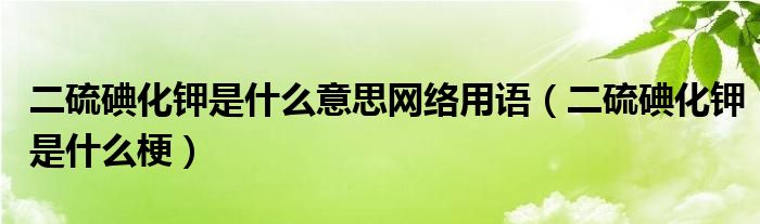 二硫碘化鉀是什么意思網(wǎng)絡(luò)用語(yǔ)（二硫碘化鉀是什么梗）