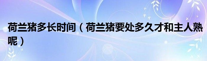 荷蘭豬多長時(shí)間（荷蘭豬要處多久才和主人熟呢）