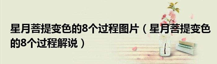 星月菩提變色的8個過程圖片（星月菩提變色的8個過程解說）