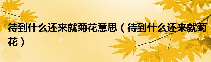 待到什么還來(lái)就菊花意思（待到什么還來(lái)就菊花）