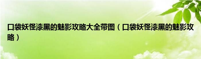 口袋妖怪漆黑的魅影攻略大全帶圖（口袋妖怪漆黑的魅影攻略）