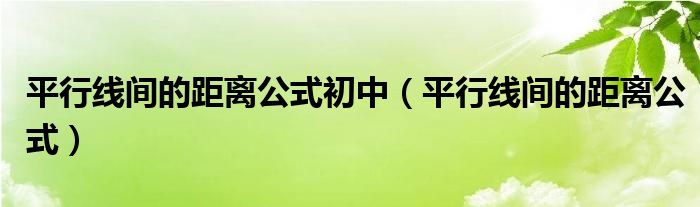 平行線間的距離公式初中（平行線間的距離公式）