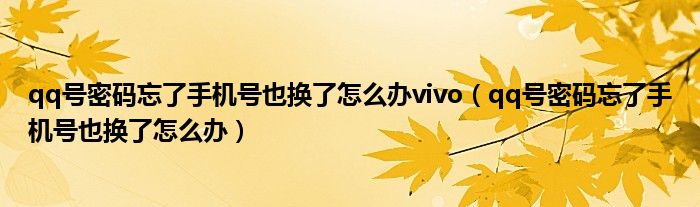 qq號密碼忘了手機號也換了怎么辦vivo（qq號密碼忘了手機號也換了怎么辦）