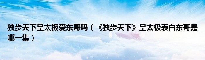 獨步天下皇太極愛東哥嗎（《獨步天下》皇太極表白東哥是哪一集）