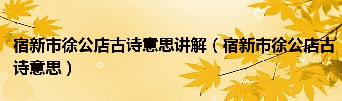 宿新市徐公店古詩意思講解（宿新市徐公店古詩意思）