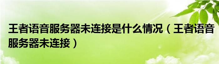 王者語(yǔ)音服務(wù)器未連接是什么情況（王者語(yǔ)音服務(wù)器未連接）