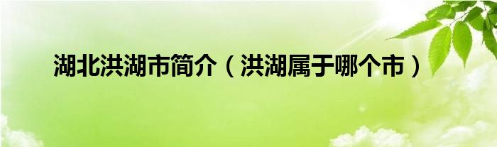 湖北洪湖市簡(jiǎn)介（洪湖屬于哪個(gè)市）
