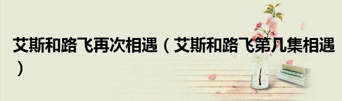 艾斯和路飛再次相遇（艾斯和路飛第幾集相遇）