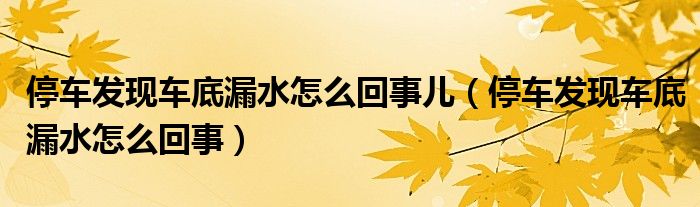 停車發(fā)現(xiàn)車底漏水怎么回事兒（停車發(fā)現(xiàn)車底漏水怎么回事）