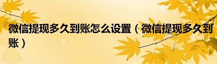 微信提現(xiàn)多久到賬怎么設(shè)置（微信提現(xiàn)多久到賬）