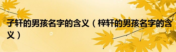 子軒的男孩名字的含義（梓軒的男孩名字的含義）