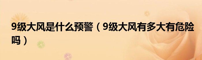 9級大風(fēng)是什么預(yù)警（9級大風(fēng)有多大有危險嗎）
