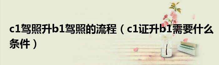 c1駕照升b1駕照的流程（c1證升b1需要什么條件）