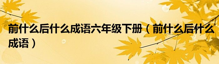 前什么后什么成語六年級下冊（前什么后什么成語）