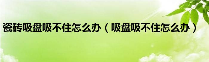 瓷磚吸盤吸不住怎么辦（吸盤吸不住怎么辦）
