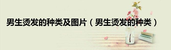 男生燙發(fā)的種類及圖片（男生燙發(fā)的種類）